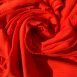 IMG_20231003_024551